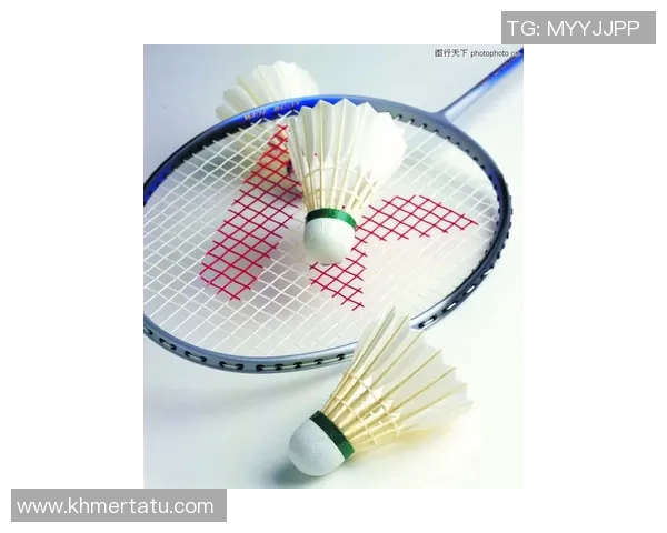 球类健身器材推荐：如何通过球类锻炼全身